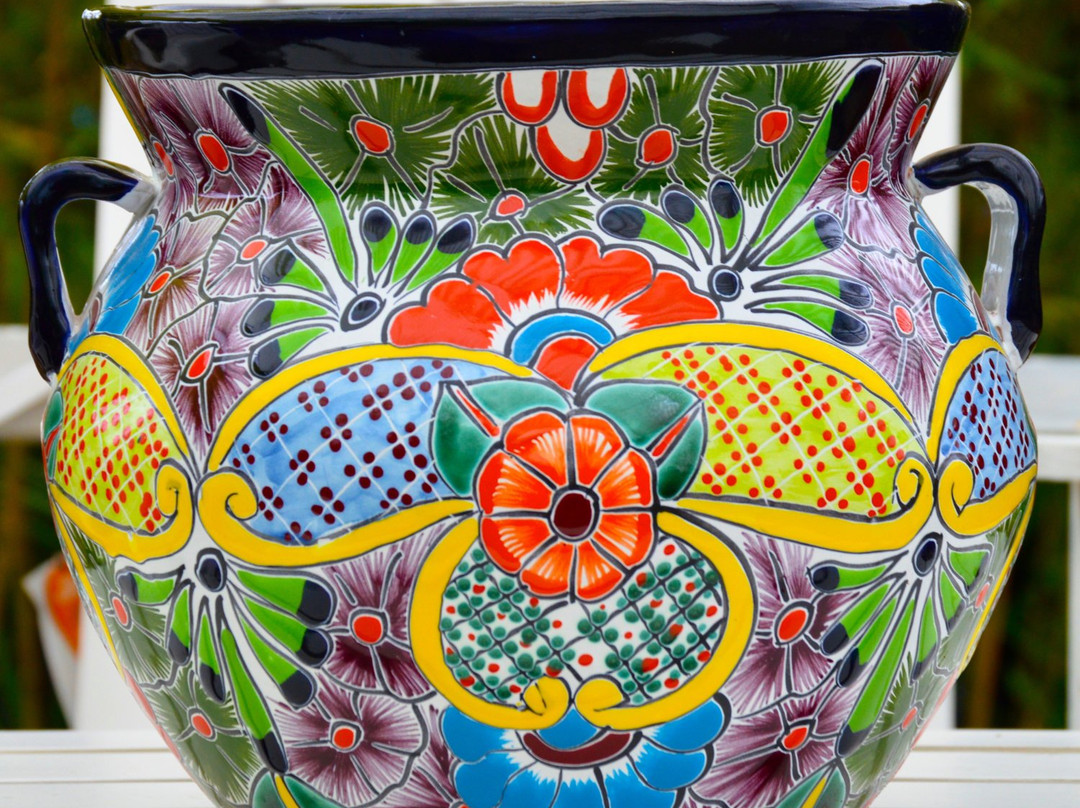 Vivero Crisalide景点图片