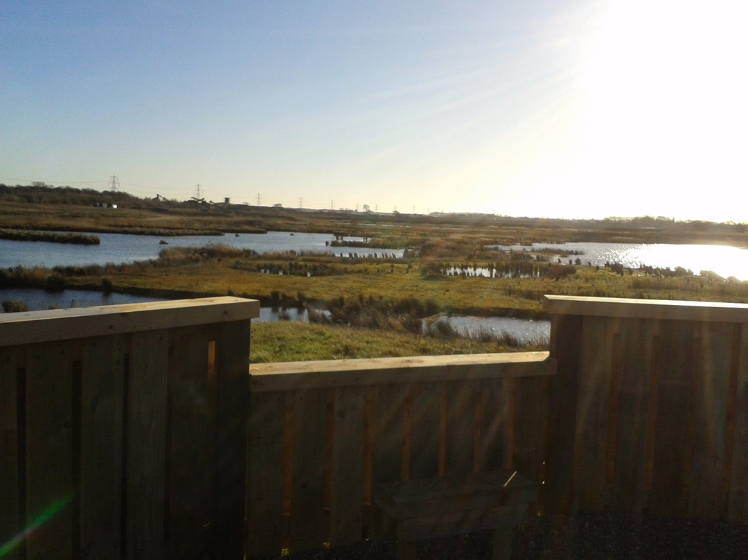 Rspb Langford Lowfields-特伦特河畔纽瓦克必去景点
