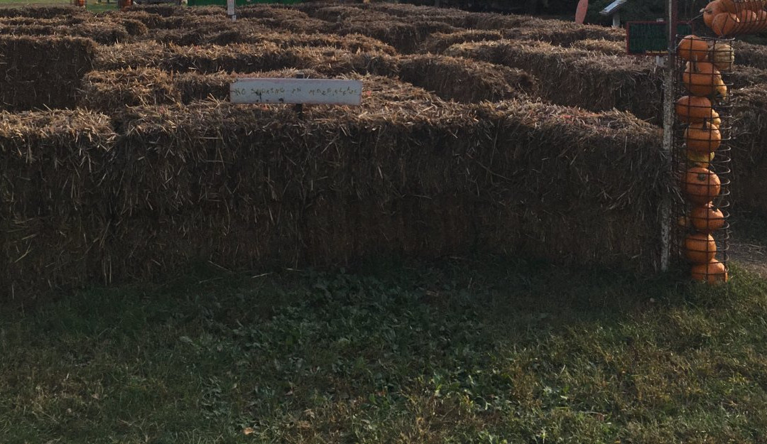 The Great Pumpkin Patch-Arthur必去景点