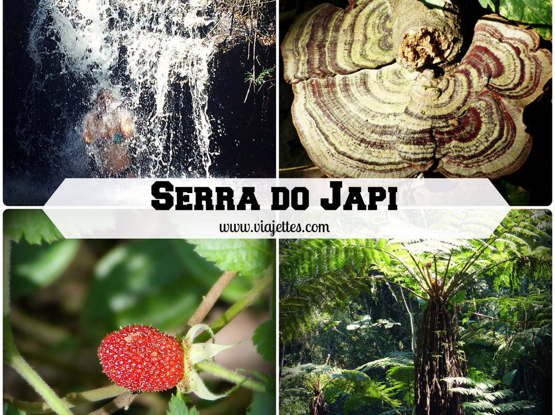Fundacao Serra do Japi