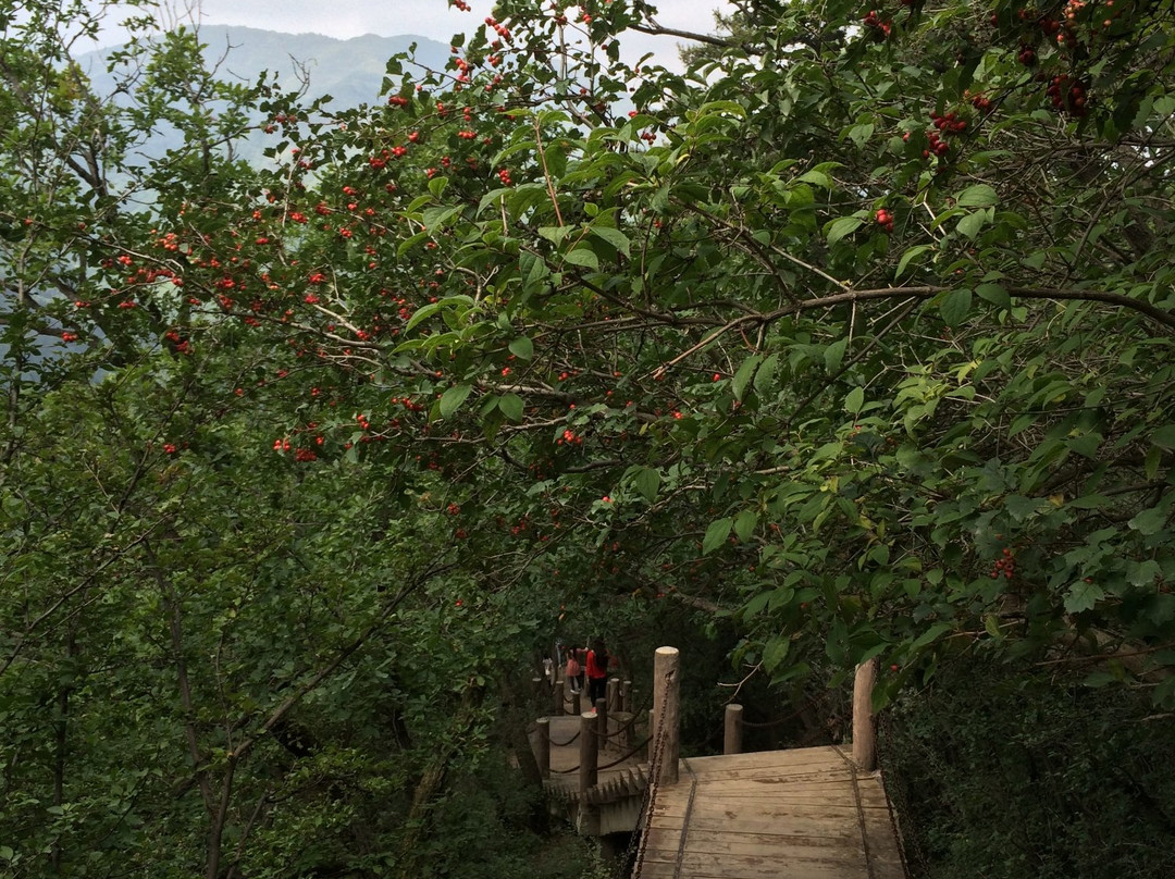 兴隆山国家级自然保护区景点图片