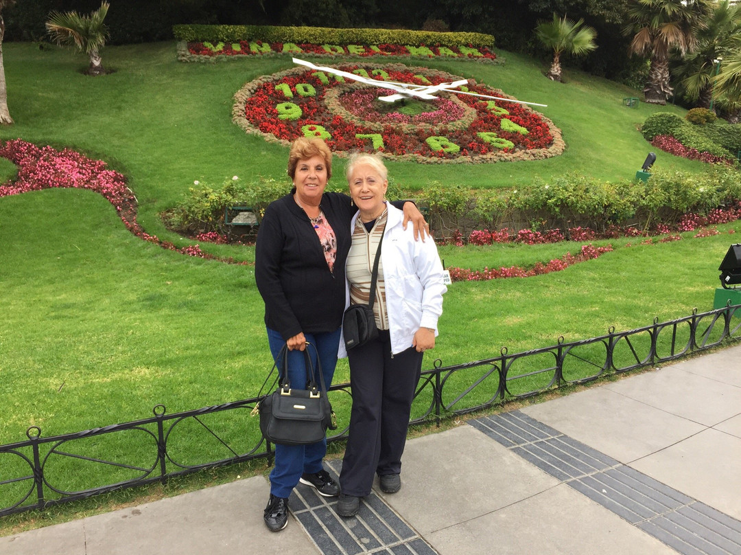 Espacio Urbano Vina Centro-比尼亚德尔马必去景点