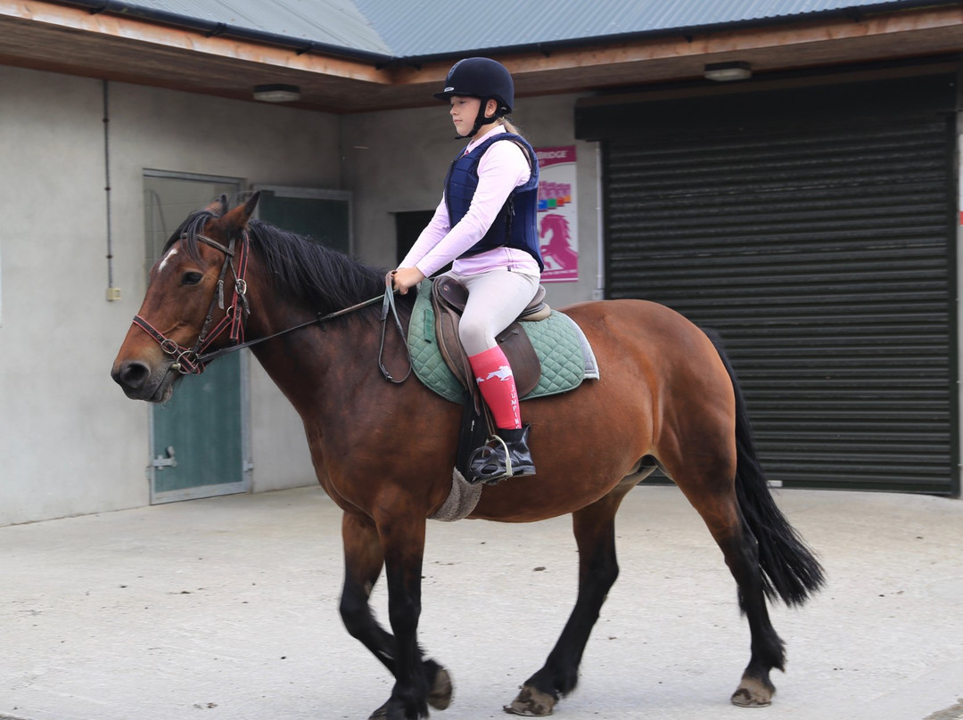 Mount Pleasant Pony Trekking and Horse Riding Centre景点图片