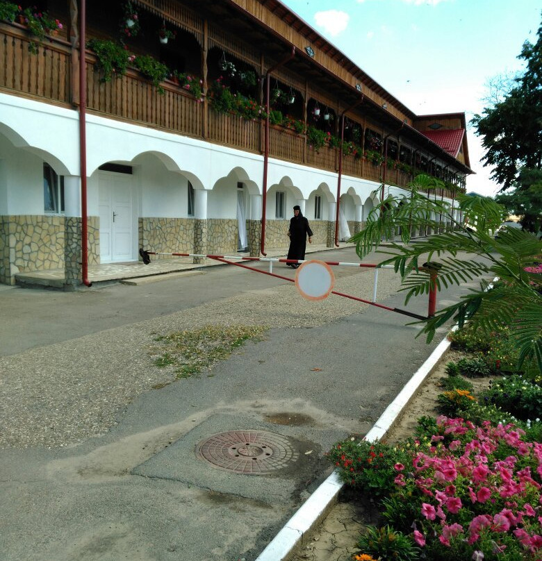 Manastirea Vladimiresti景点图片