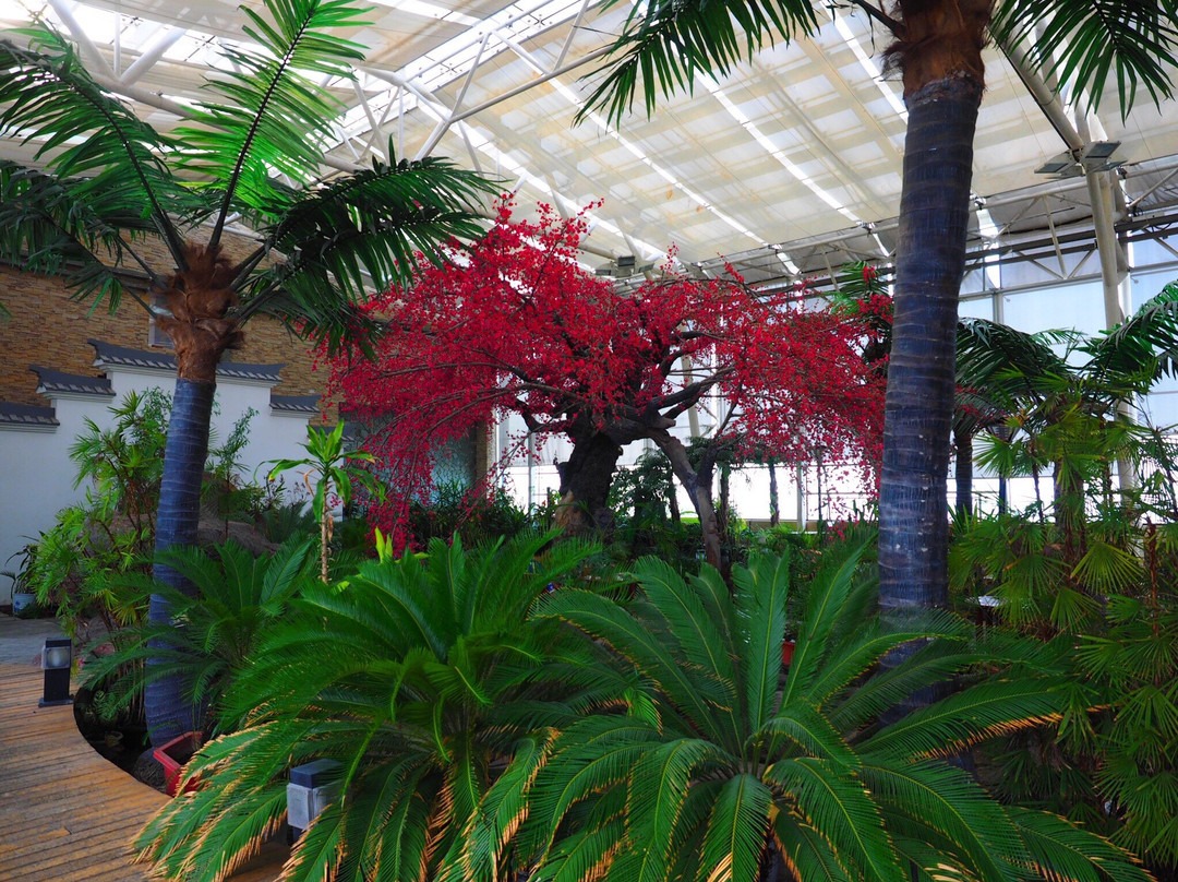 玛依塔柯酒店主图