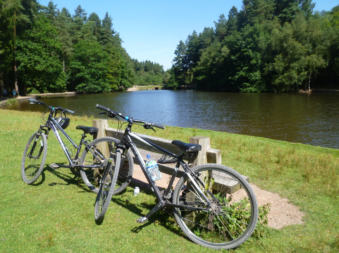 Forest of Dean Cycle Centre景点图片