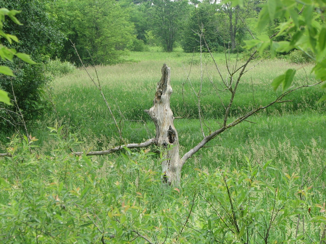 Fox River Park-沃基肖必去景点