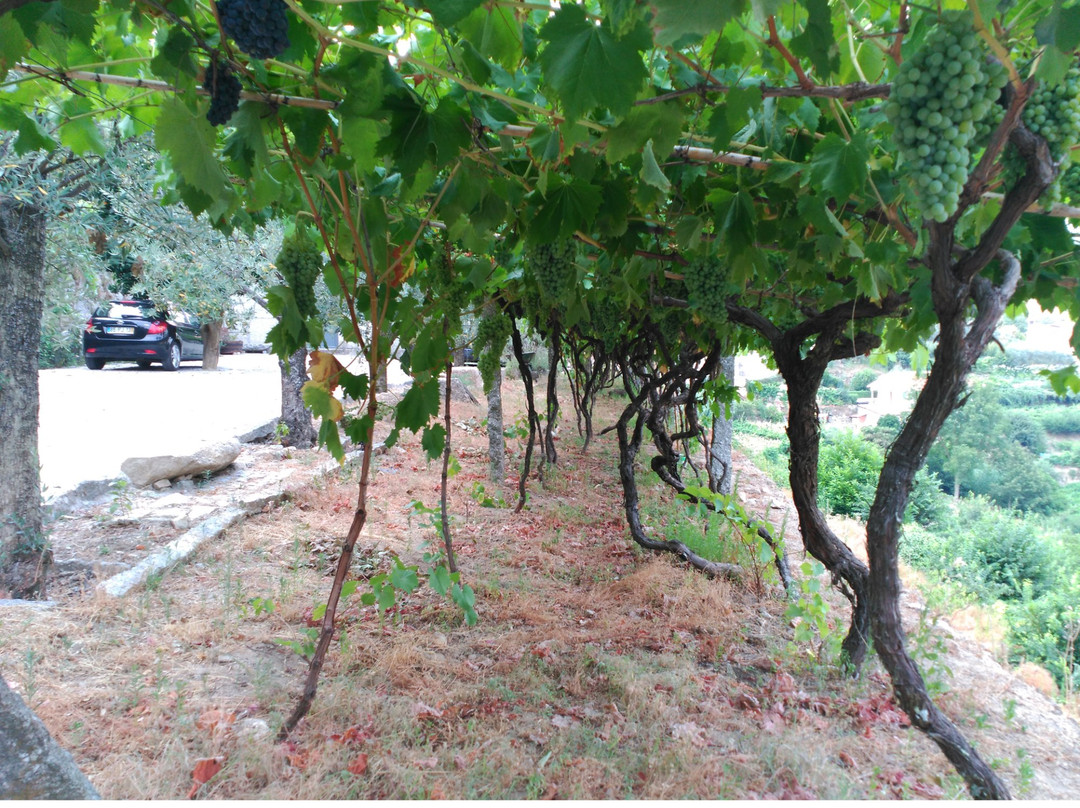 Casa do Escoivo主图