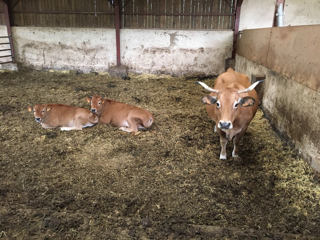 Ferme de Serene主图