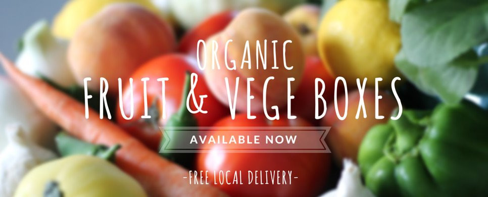 The Wee Shop Organics景点图片