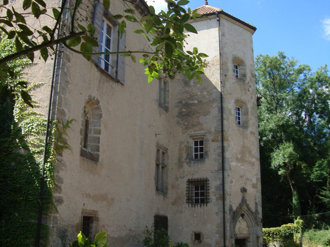 Chateau De La Chassaigne景点图片