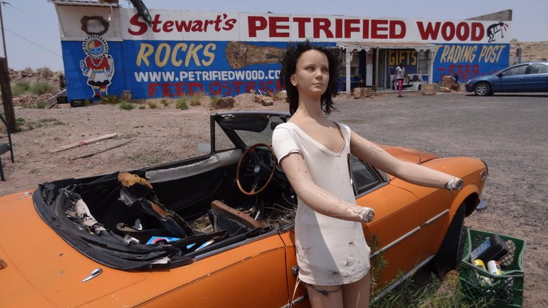 Stewart's Petrified Wood-霍尔布鲁克必去景点