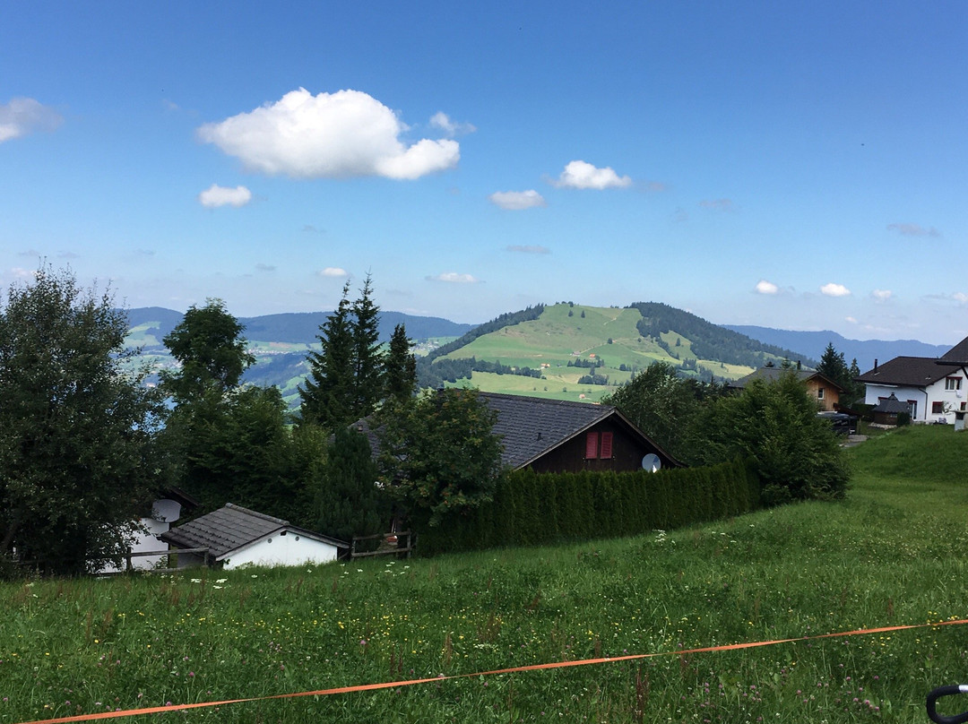 Trotti Bikes Mostelberg
