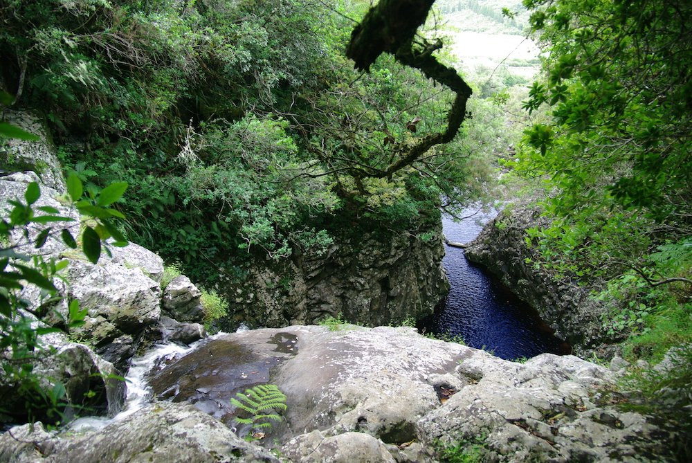 Forêt de Bébour景点图片