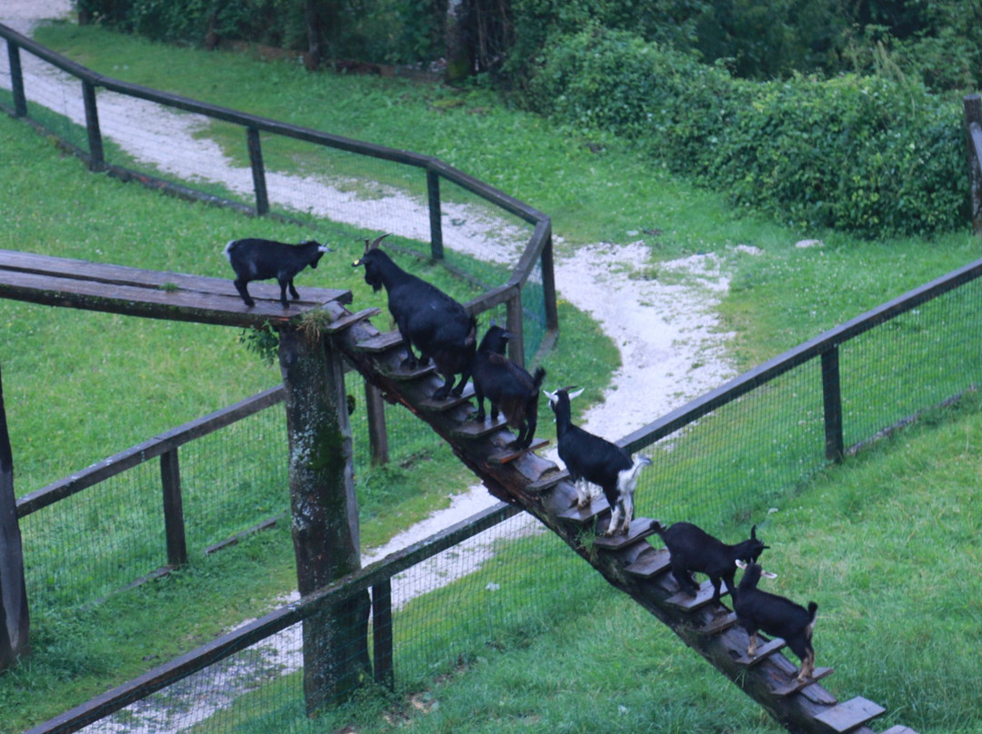 Gasthof Kleefeld主图