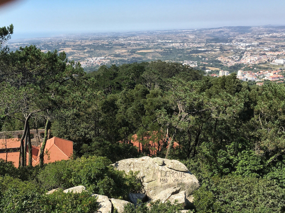 Sintra Climbing Tours景点图片