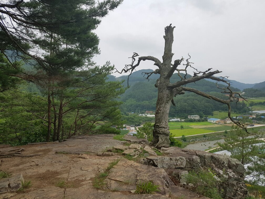 Molwundae Cliff-旌善郡必去景点