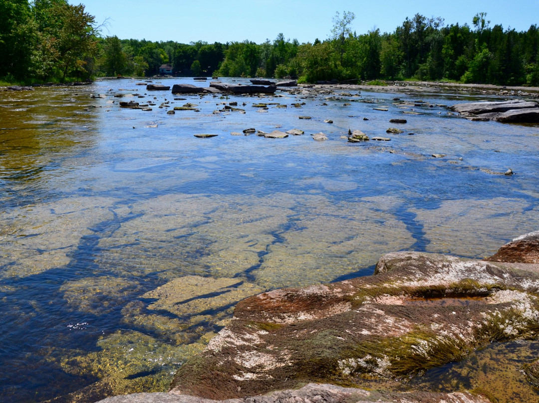 Callaghan's Rapids Conservation Area景点图片