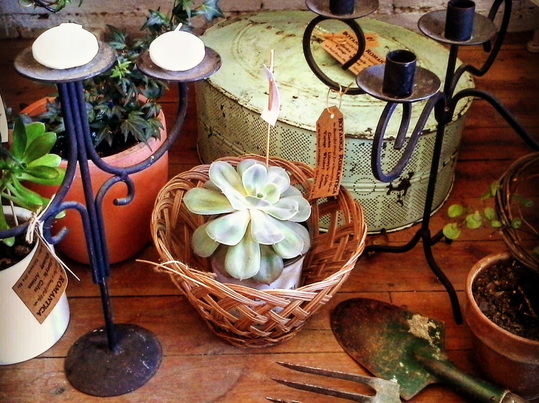 Botanica Romantica-Harden-Murrumburrah必去景点