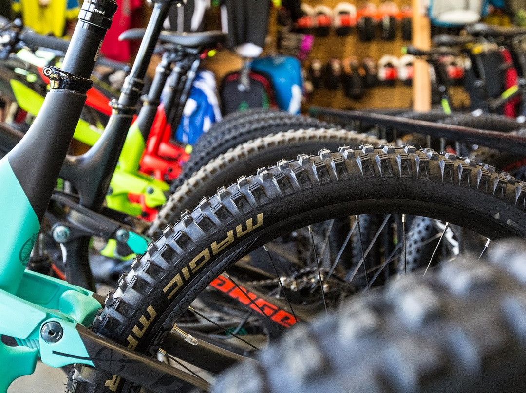 Gerick Cycle & Sports景点图片