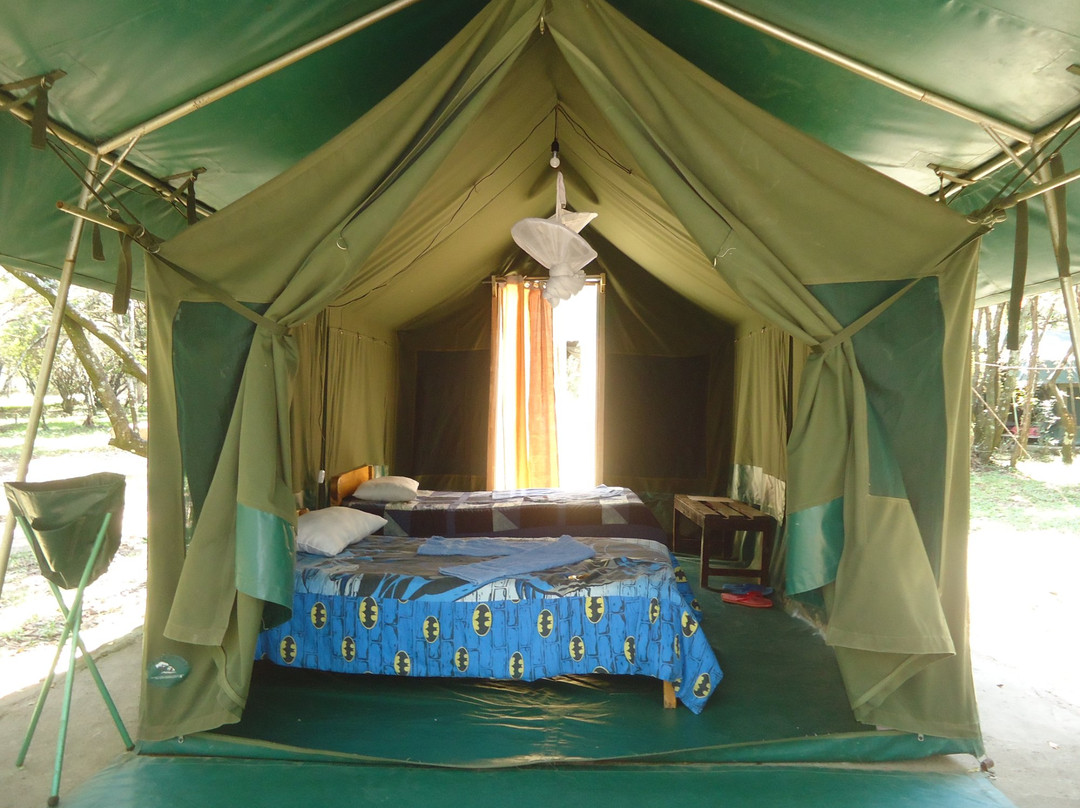 Wajee Mara Camp