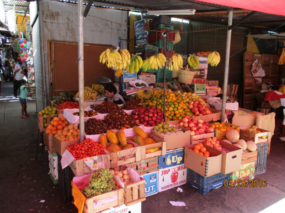 Ica Gastronomical Tour-伊卡必去景点