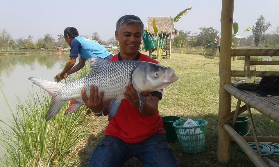 Nong Bua Lam Phu Fishing Park景点图片