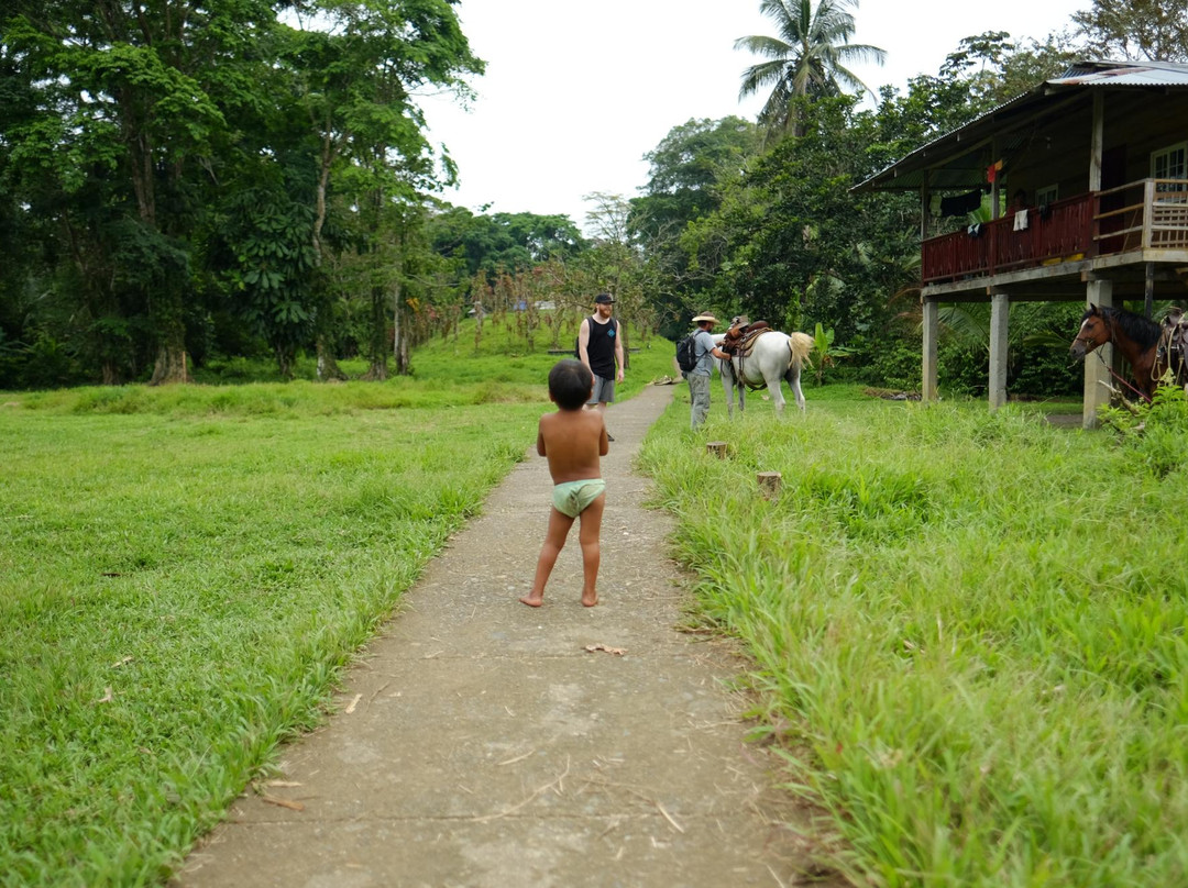 Panama Horseback Adventures景点图片