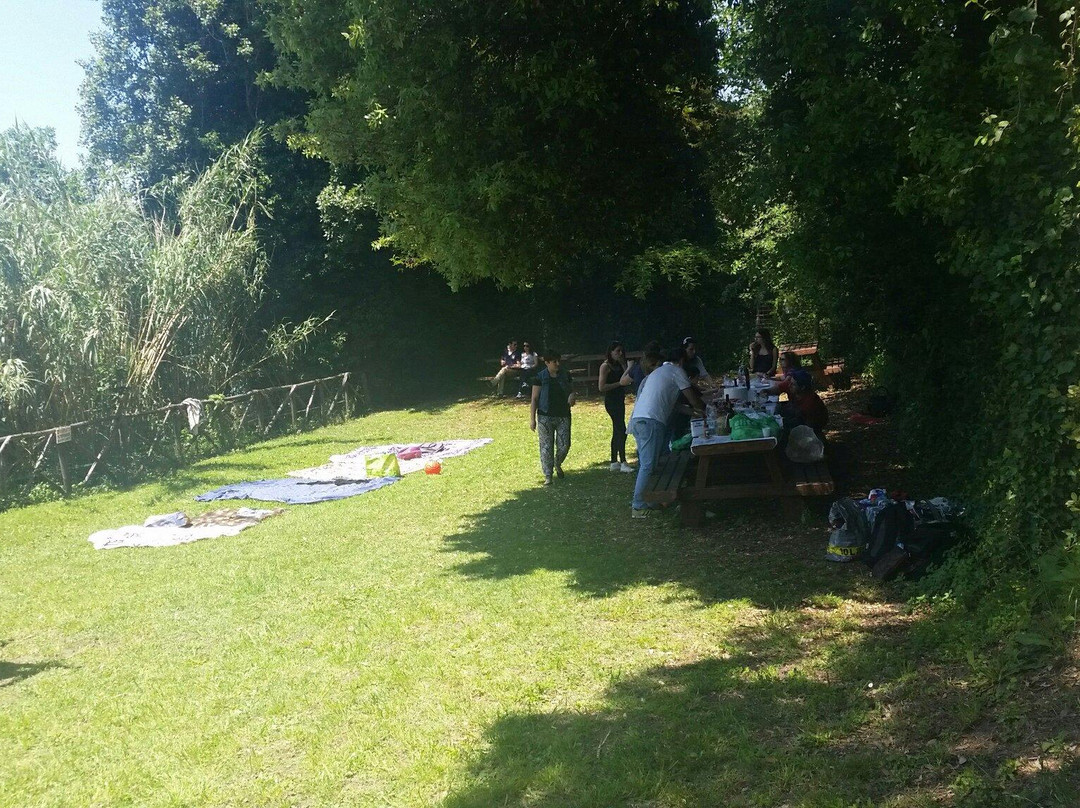 Bordo Lago - Area PicNic-冈多菲堡必去景点