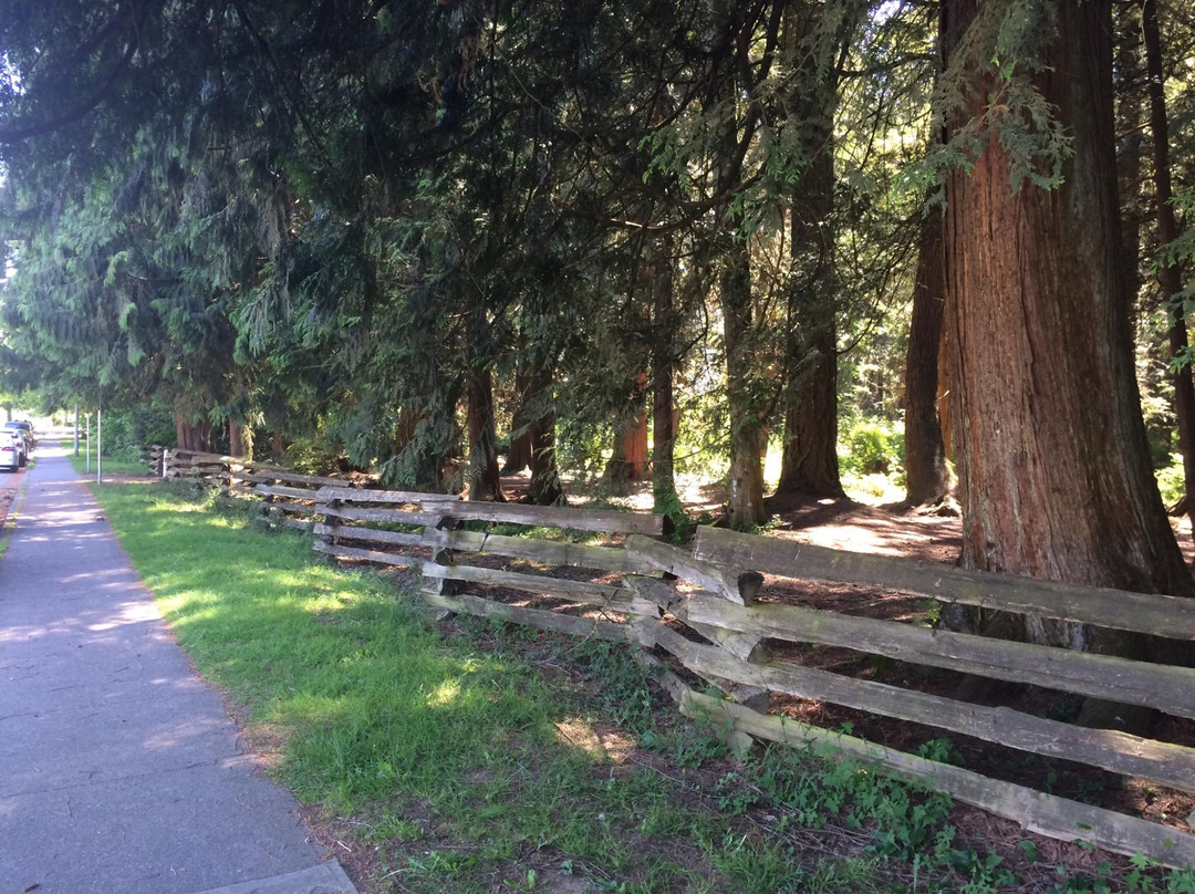 Hoffman Park-匹特草原必去景点