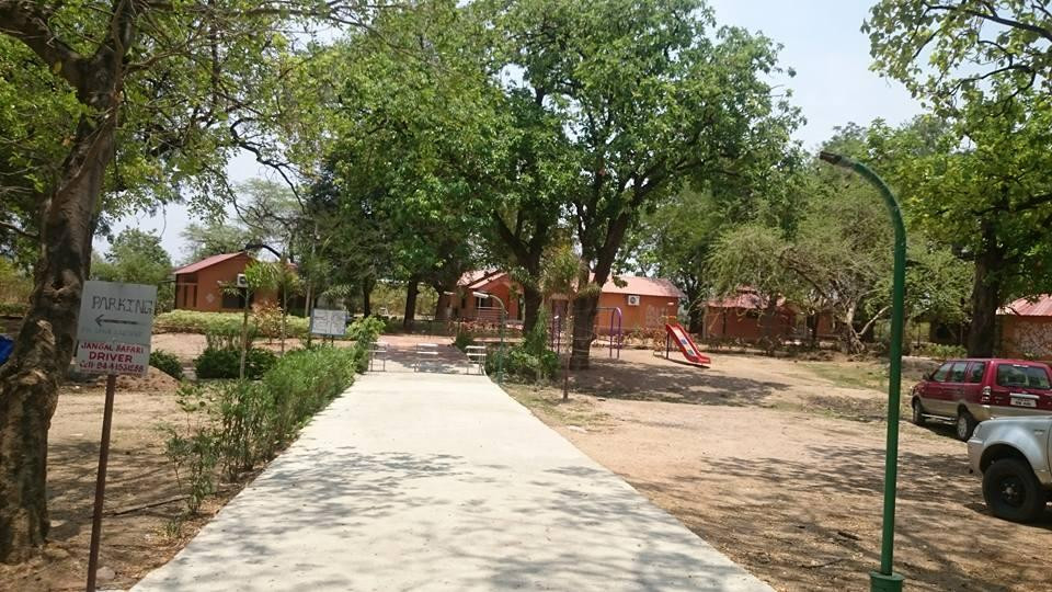 Kawal Wildlife Sanctuary景点图片