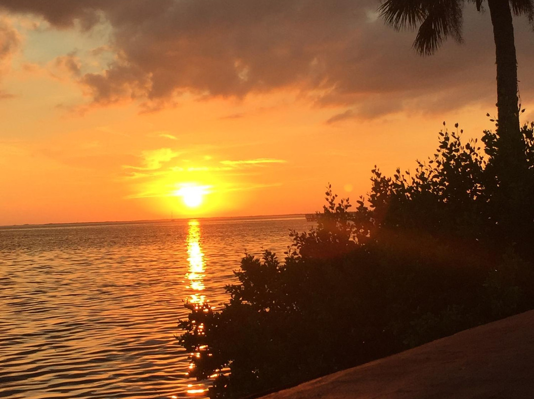 Bayshore Live Oak Park-夏洛特港必去景点