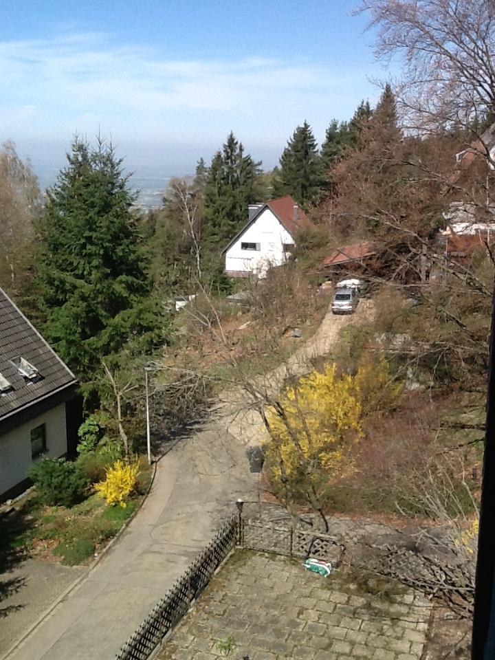 Pension-Stadt-Baden-酒店景观