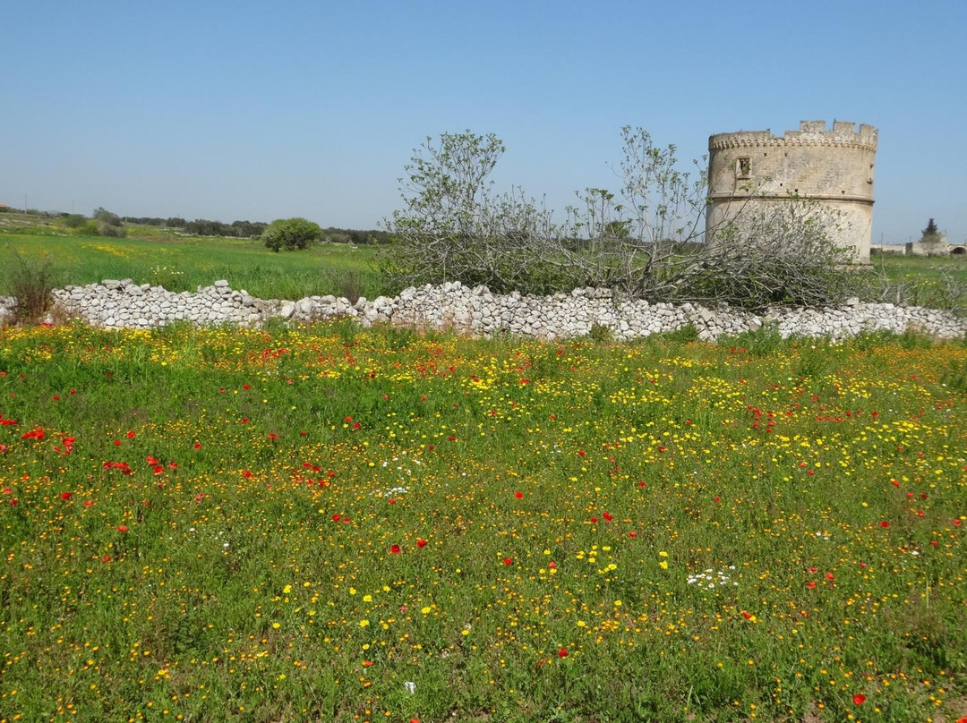 Torre Colombaia