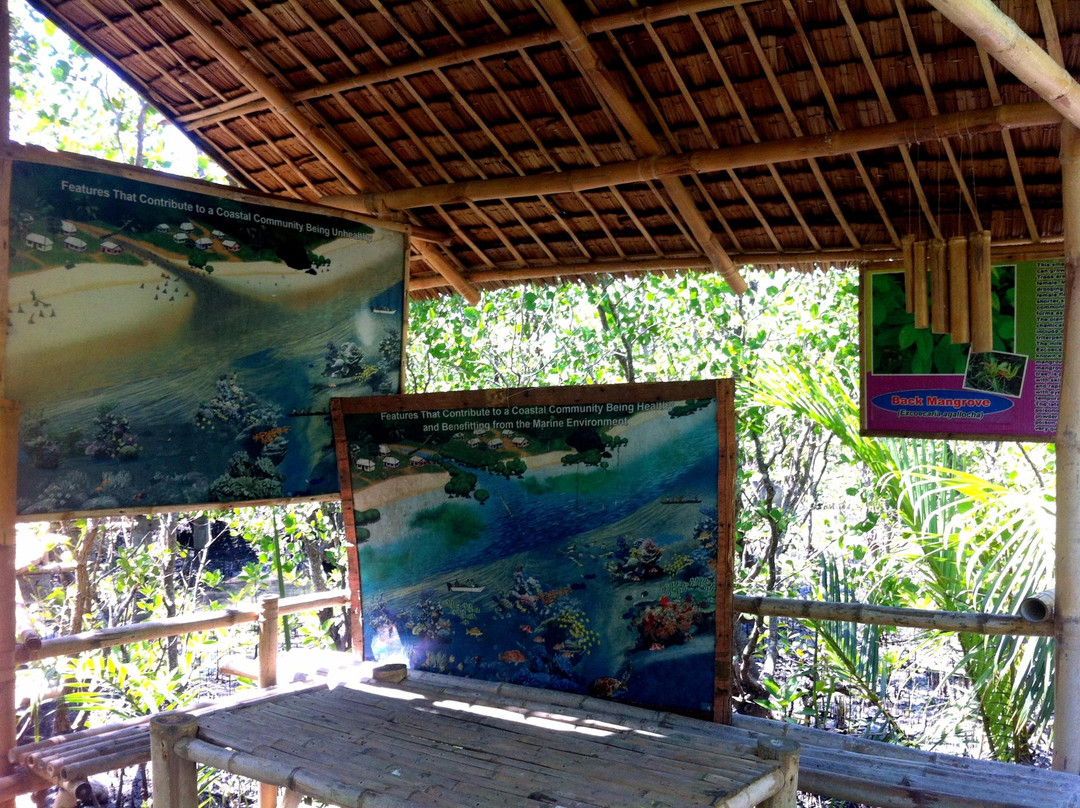 Silonay Mangrove Conservation Area and Ecotourism景点图片