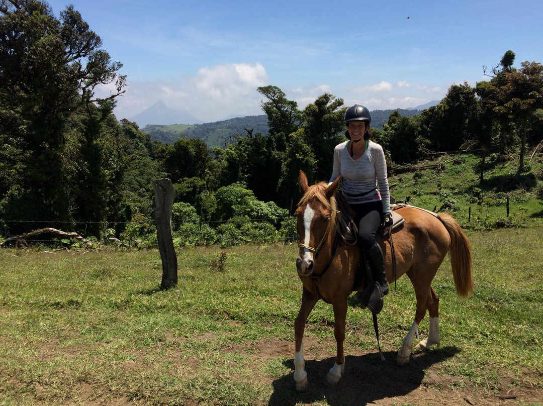 Paradise Riding - Horseback Tours景点图片