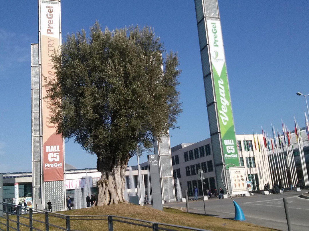 Vergiano旅游景点-RiminiFiera