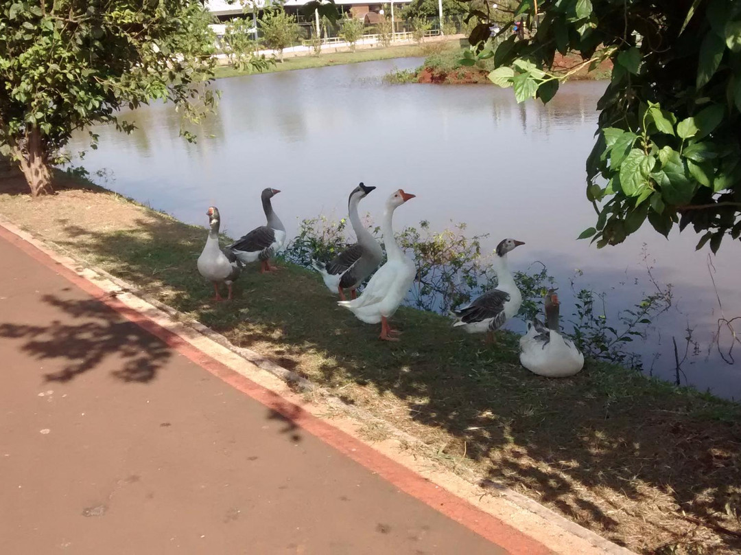 Dr. Renato Pagano Ecological Park