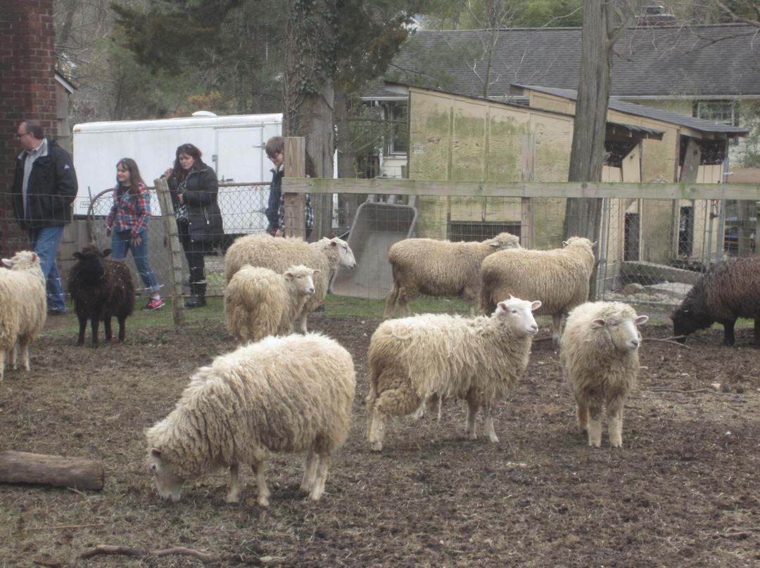 Benner's Farm-East Setauket必去景点