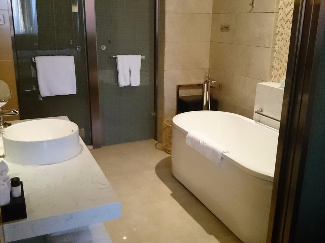 扬中菲尔斯金陵大酒店主图