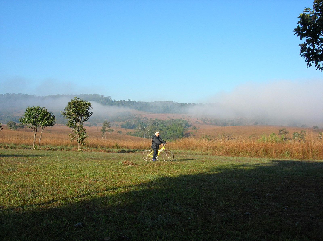 Thung Salaeng Luang National Park景点图片