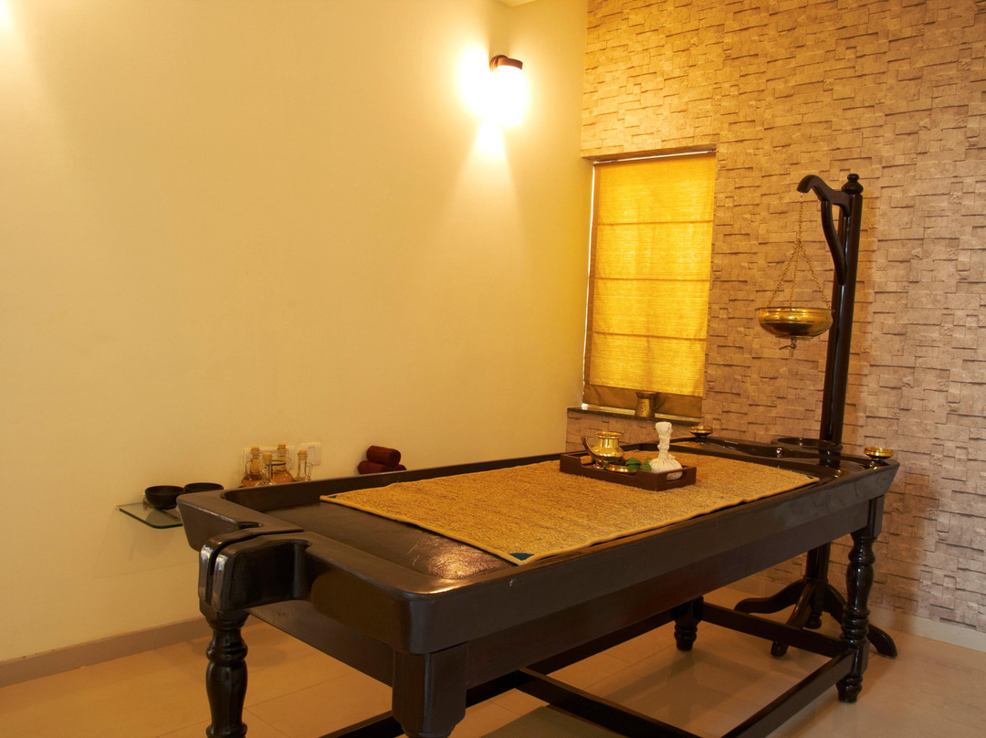 Traya Natural Health Centre景点图片
