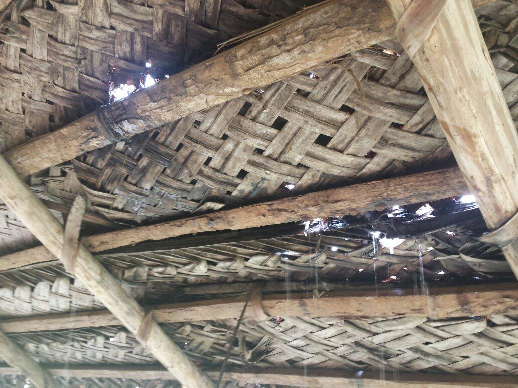 绿色艾尤维迪克度假村主图