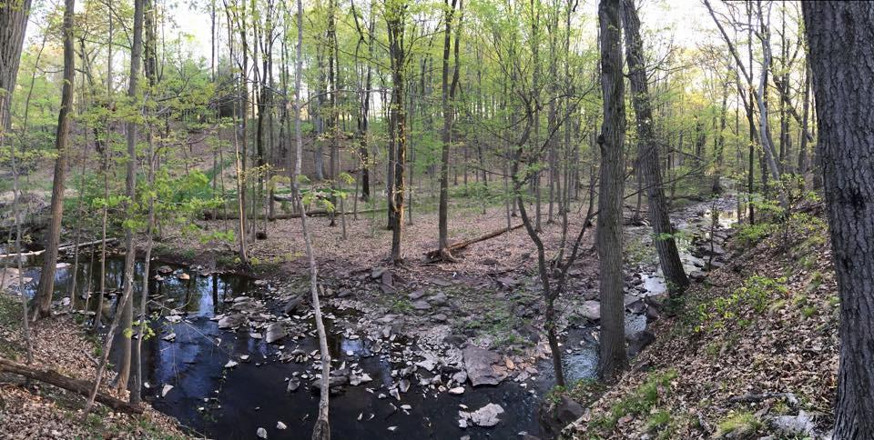 Franklin Park Natural Area-Franklin Park必去景点
