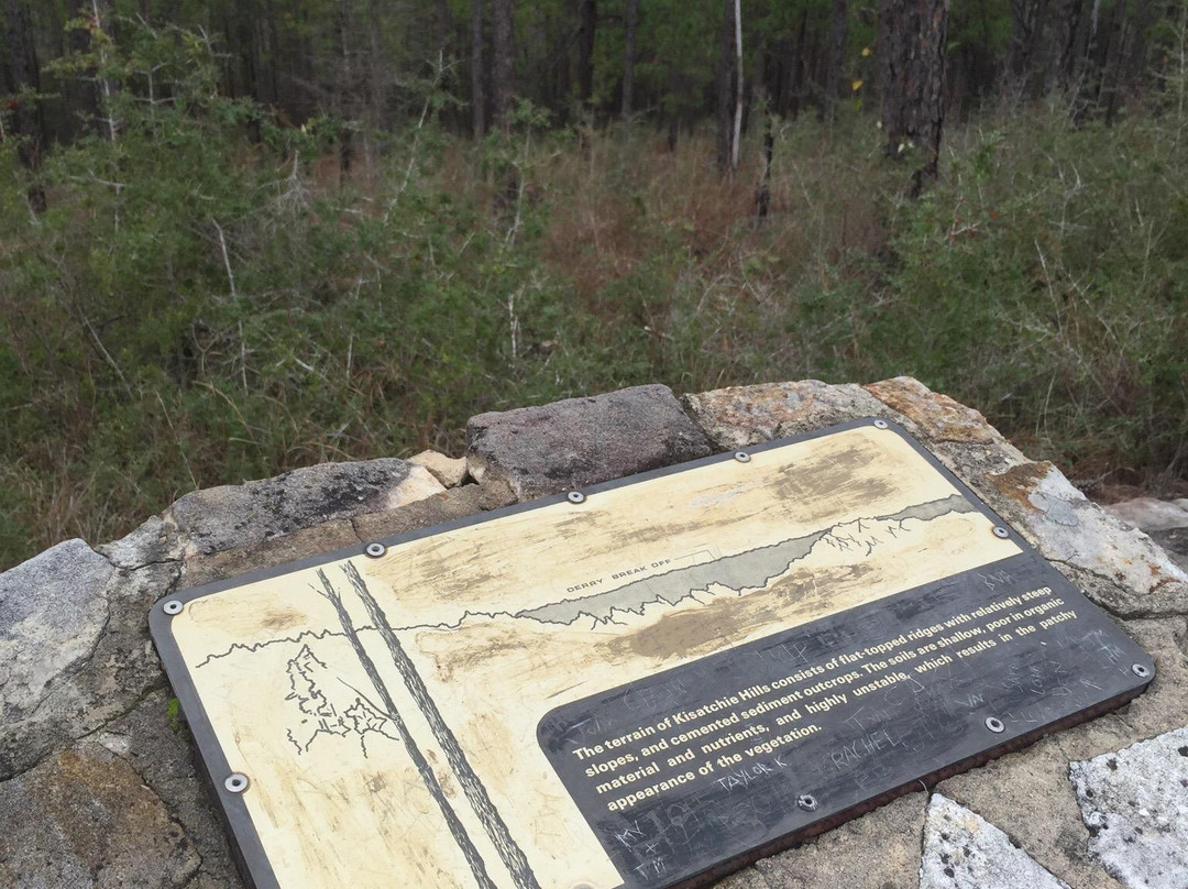 Kisatchie National Forest景点图片