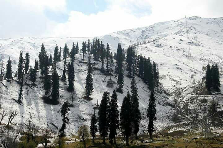 Gulmarg Golf Course景点图片