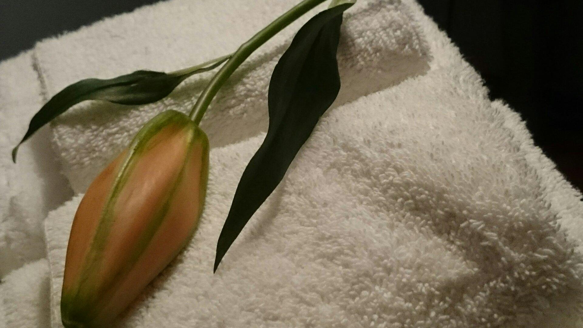Paola Beauty Farm B&B and Day Spa-浴室