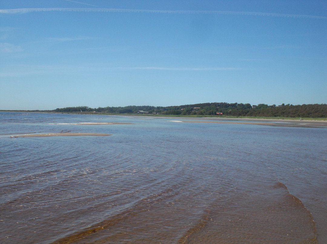 Grimsholmen Nature Reserve-Falkenberg必去景点