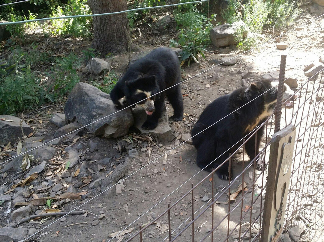Chaparri Reserve-Chongoyape必去景点
