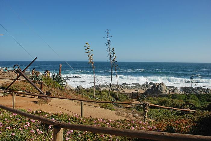 Mywaychile- Day Tours-Olmue必去景点